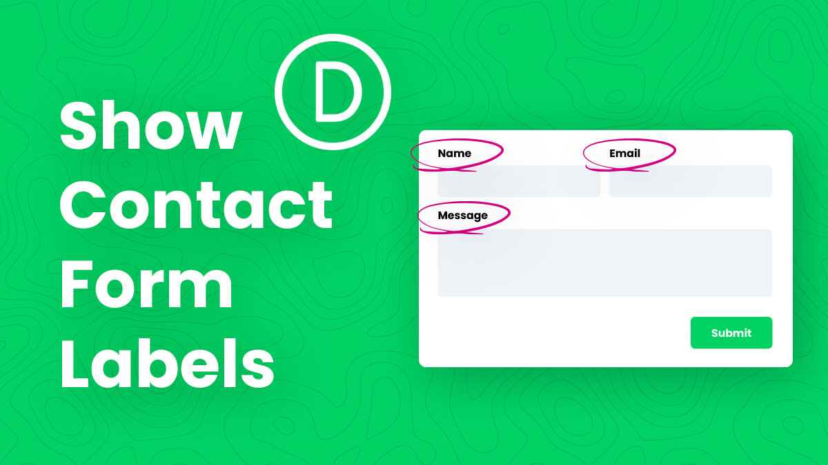 How To Show Labels On Form Fields In The Divi Contact Form Tutorial by Pee Aye Creative