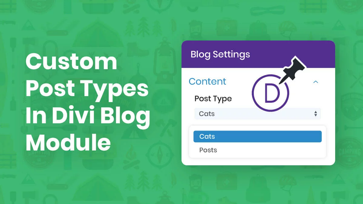 How To Display Custom Post Types In The Divi Blog Module