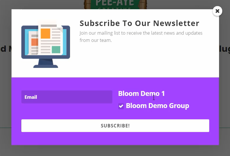 Add Mailchimp groups to the Bloom optin plugin