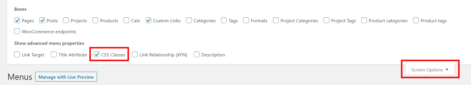 turn on CSS classes in WordPress with Screen Options turn on CSS classes in WordPress with Screen Options