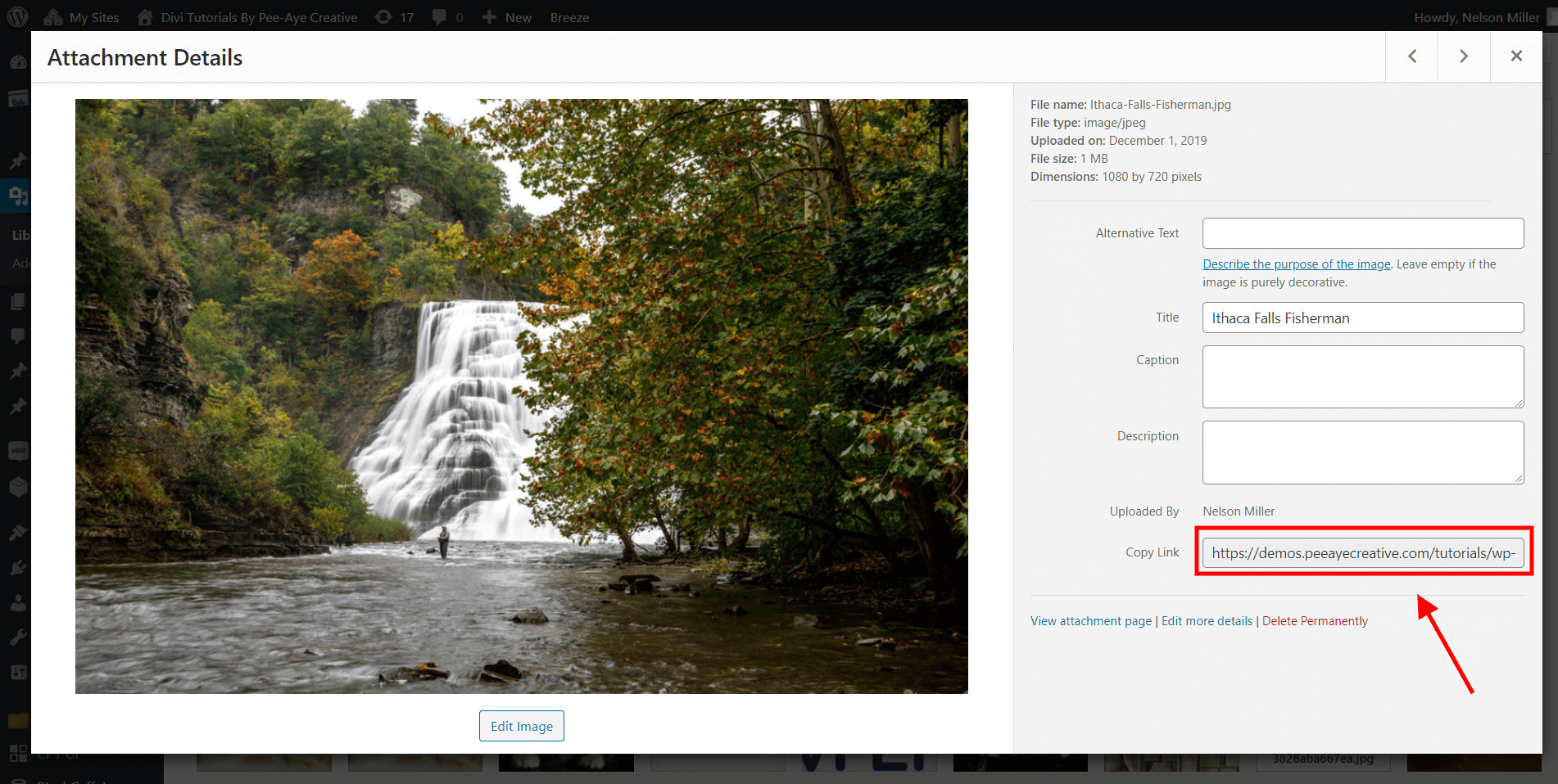 copy the link to the image to add it to the Divi menu item copy the link to the image to add it to the Divi menu item