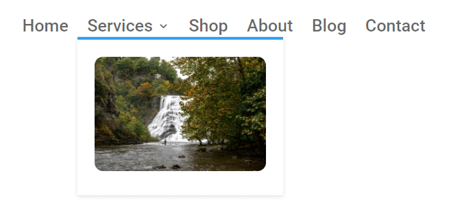 image in Divi menu submenu dropdown with custom CSS