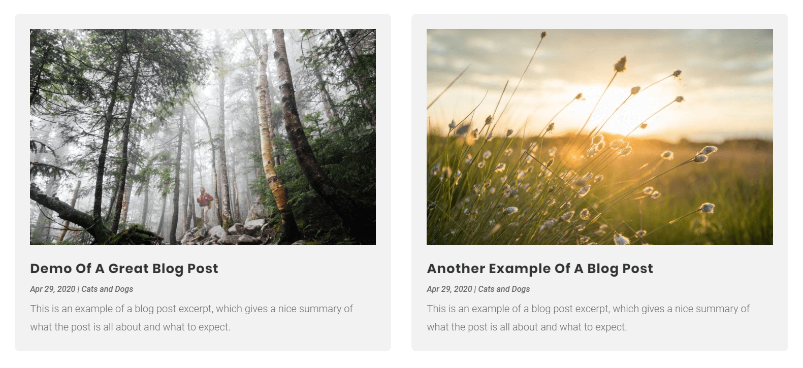Two column Divi blog module grid layout Two column Divi blog module grid layout