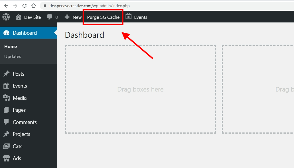 clear your Divi plugin cache