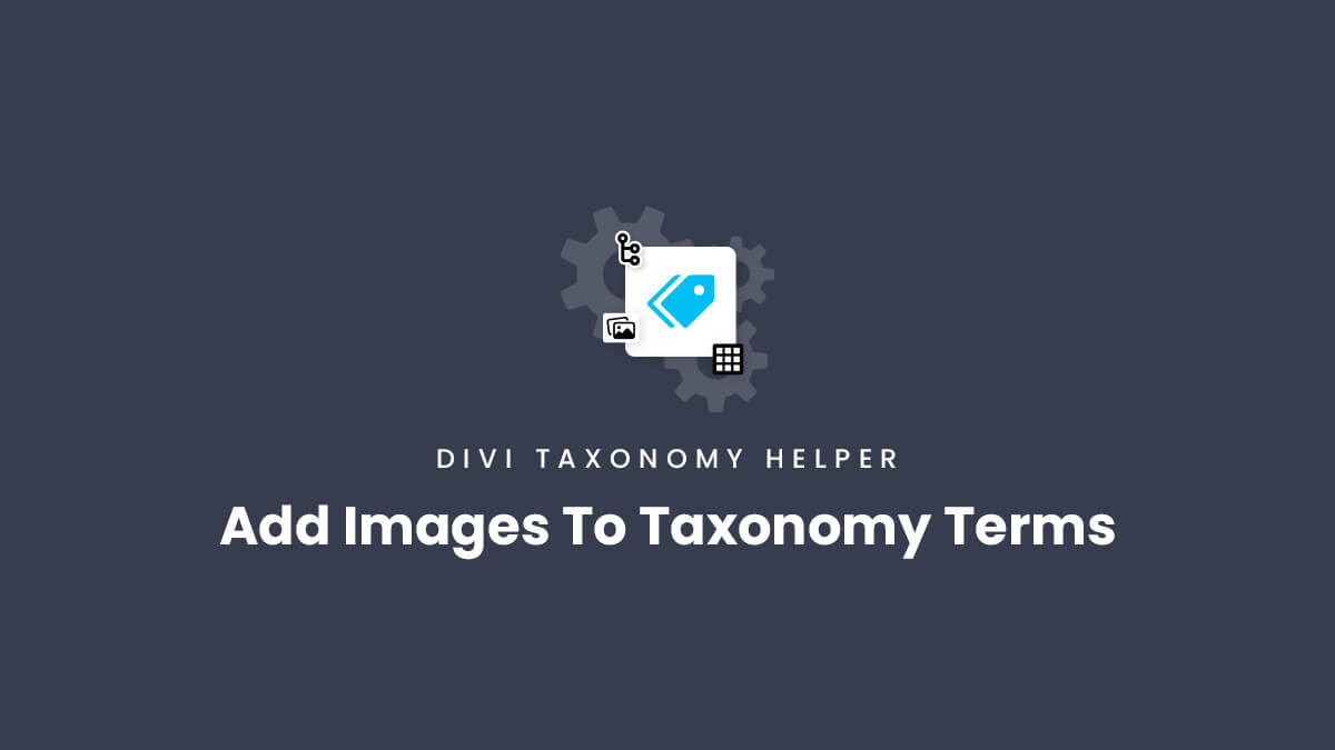 How To Add Images To A Taxonomy Terms with the Divi Taxonomy Helper plugin by Pee Aye Creative