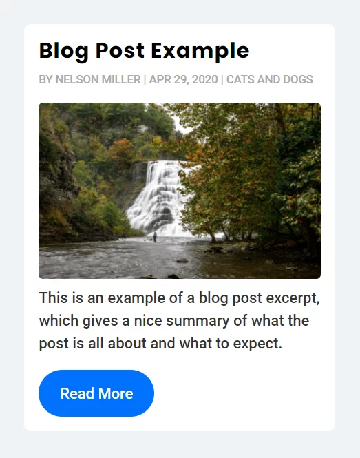 Divi blog post with title, meta, image, excerpt, button Divi blog post with title meta image excerpt button
