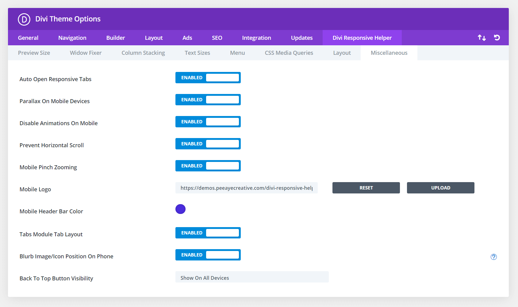 Divi Responsive Helper Miscellaneous Settings 1