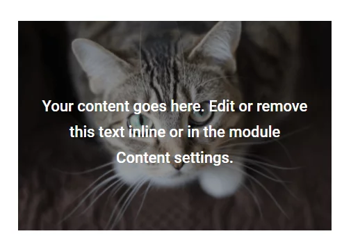 add a Divi Text module over an image module add a Divi Text module over an image module
