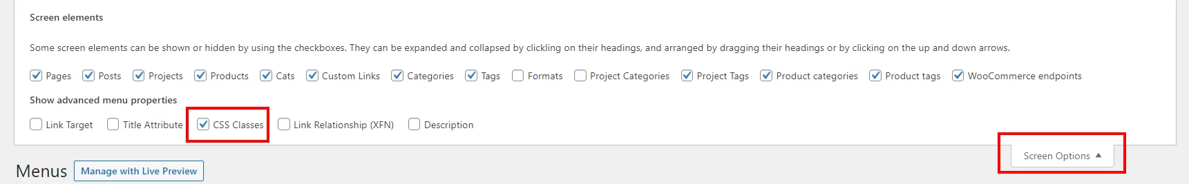 Divi menu CSS classes screen options Divi menu CSS classes screen options