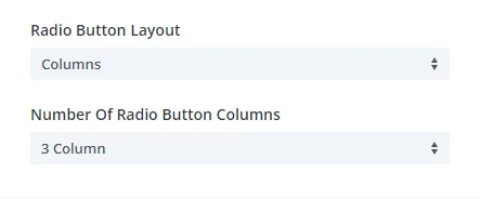 radio button layout column options in the Divi Contact Form Helper plugin radio button layout column options in the Divi Contact Form Helper plugin