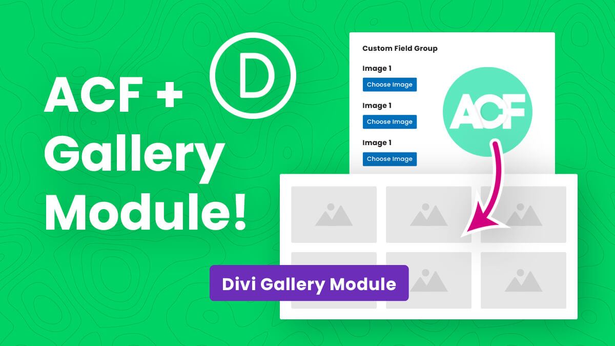 How To Display Images In The Divi Gallery Module With Advanced Custom Fields ACF Tutorial by Pee Aye Creative