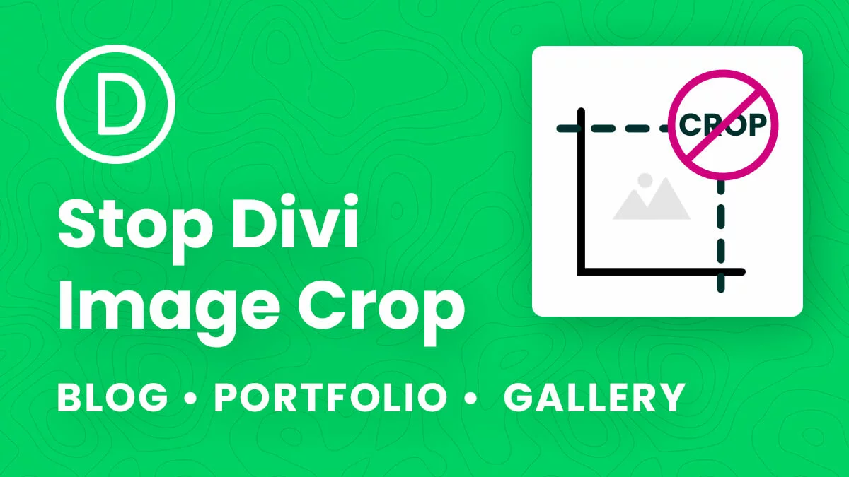 How To Stop Image Crop In The Divi Blog Portfolio Gallery Modules Tutorial by Pee Aye Creative