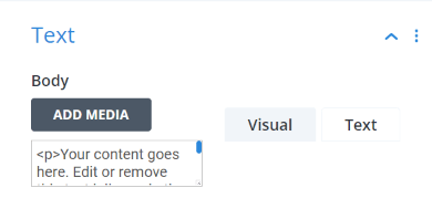 issue with text editor in Divi showing HTML in Visual tab issue with text editor in Divi showing HTML in Visual tab