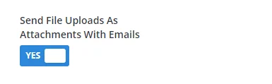 send file uploads as attachments with admin email setting in Divi Contact Form Helper send file uploads as attachments with admin email setting in Divi Contact Form Helper