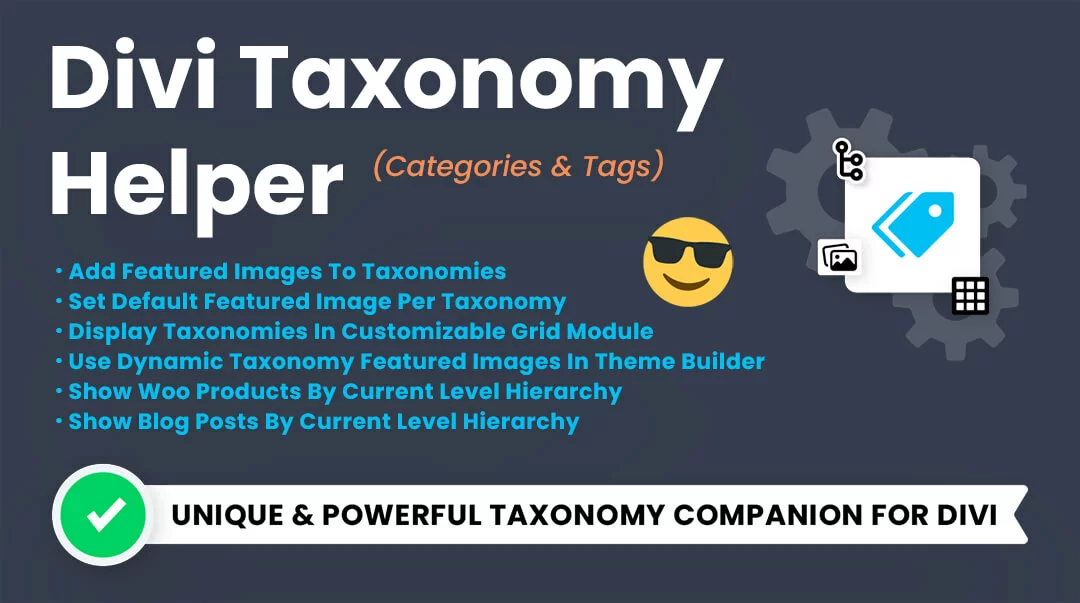 Divi Taxonomy Helper Plugin by Pee Aye Creative