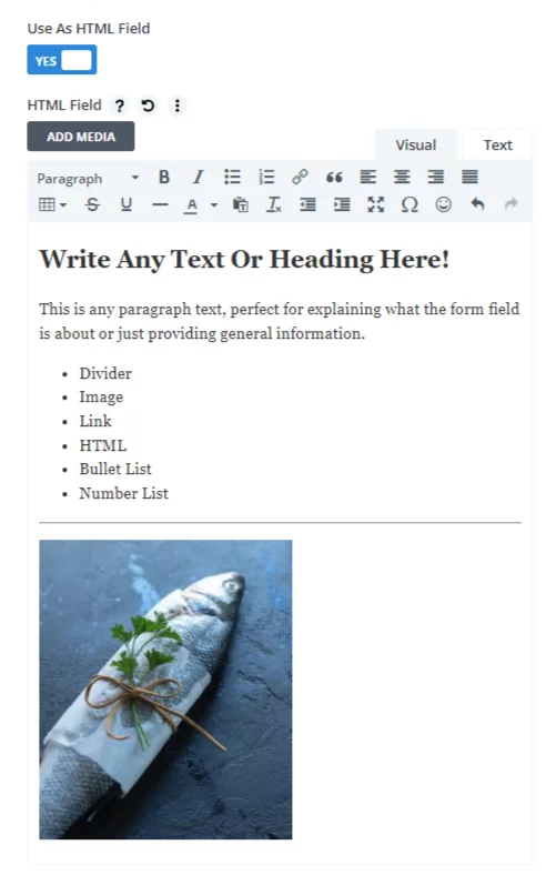 HTML free anything field in the Divi Contact Form Helper plugin HTML free anything field in the Divi Contact Form Helper plugin