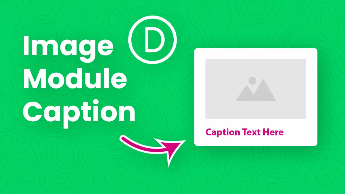 How To Show The Divi Image Module Caption Text Below The Image