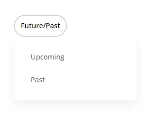 future and past filter in the Events Fitler module Divi Events Calendar Plugin by Pee Aye Creative