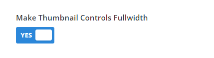 Divi Carousel Maker Show Navigation Controls setting make image thumbnails fullwidth