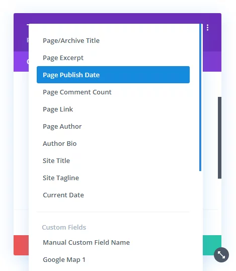 showing the post or page publish date option in the Divi Dynamic Helper plugin showing the post or page publish date option in the Divi Dynamic Helper plugin
