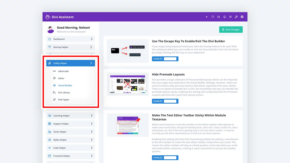 user interface setting sub tabs in the Divi Assistant Plugin by Pee Aye Creative