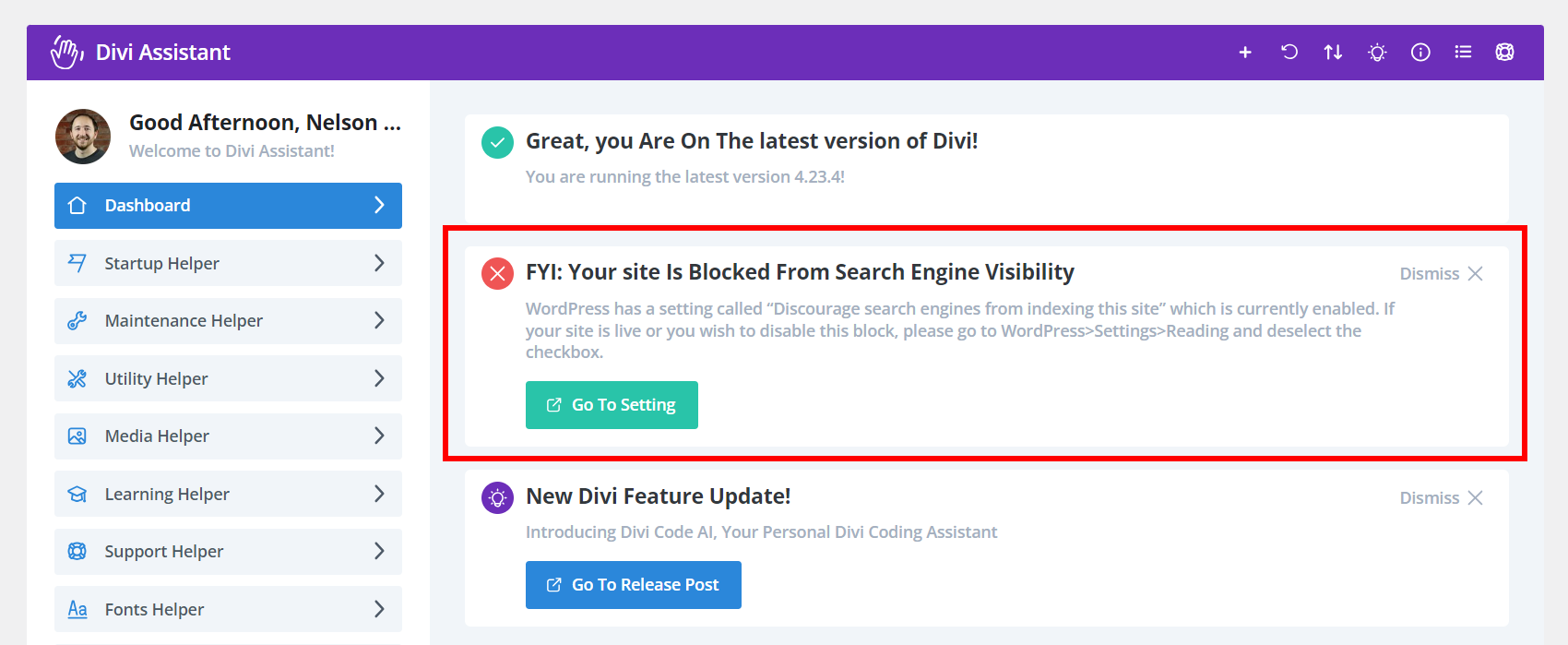 discourage search engines checkbox warning in Divi Assistant