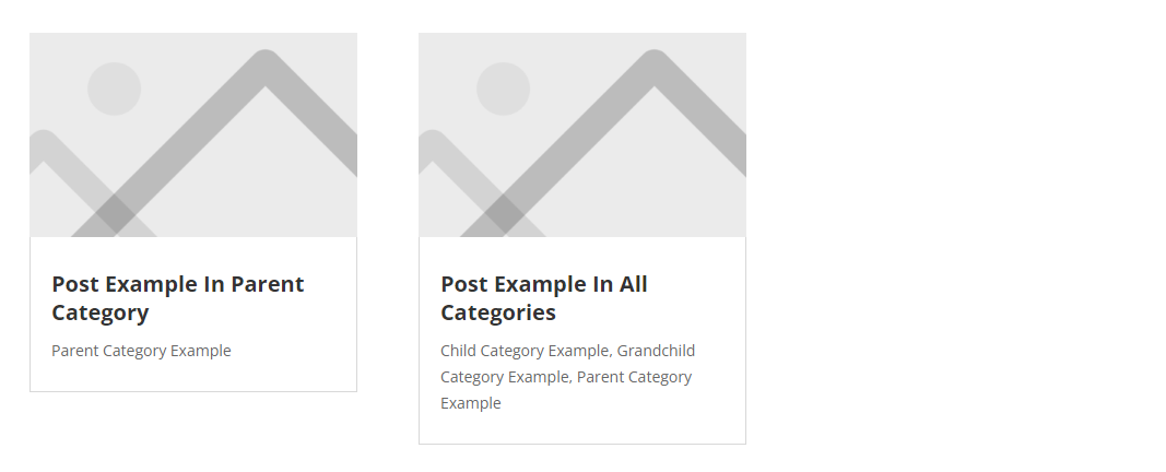 only showing current category levels of Blog Posts with the Divi Taxonomy Helper plugin by Pee Aye Creative