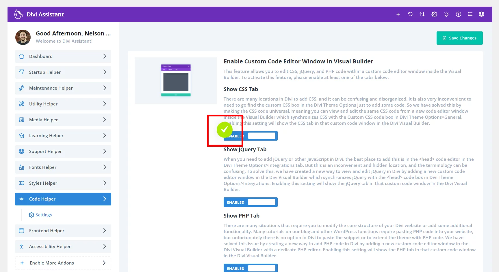 added green checkmark when saving Divi Assistant settings added green checkmark when saving Divi Assistant settings