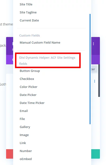 ACF Options Page custom fields showing in the Dynamic Content popup with the Divi Dynamic Helper plugin