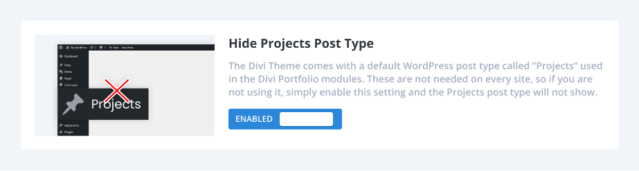 how to hide projects post type using the Divi Assistant plugin how to hide projects post type using the Divi Assistant plugin