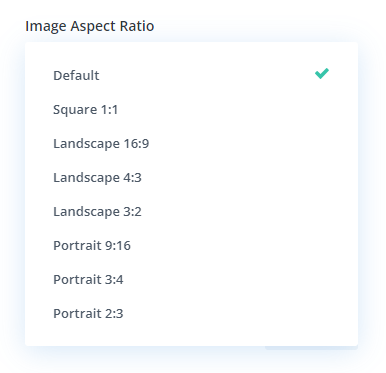 image aspect ration setting for the taxonomy term featued image in the Divi Taxonomy Helper plugin