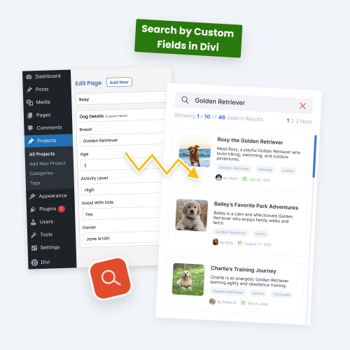 include custom field data in divi search results with the divi search helper plugin by pee aye creative