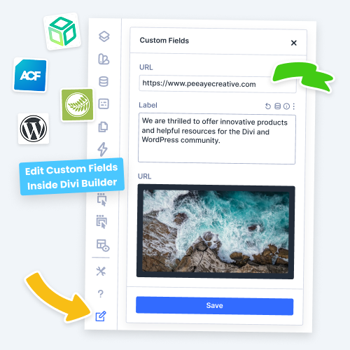 edit custom fields inside the divi builder feature in the divi dynamic content helper plugin by pee aye creative