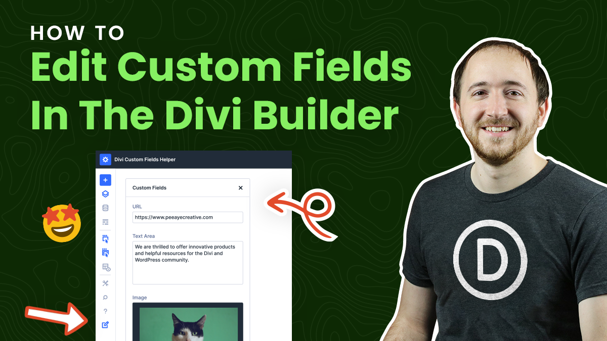 How To View And Edit Custom Fields Inside The Divi 5 Builder